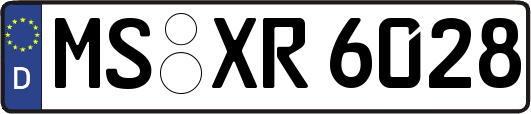 MS-XR6028