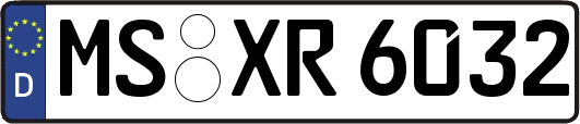 MS-XR6032