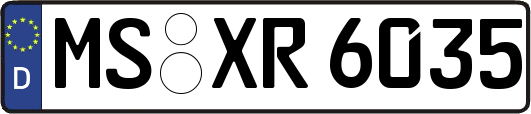 MS-XR6035