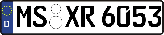 MS-XR6053