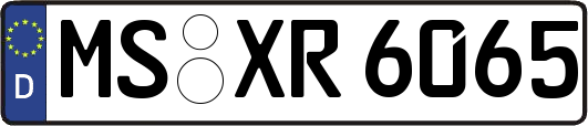 MS-XR6065