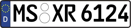 MS-XR6124