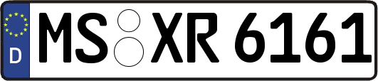 MS-XR6161