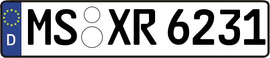 MS-XR6231