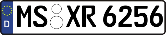 MS-XR6256