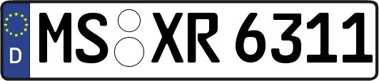 MS-XR6311