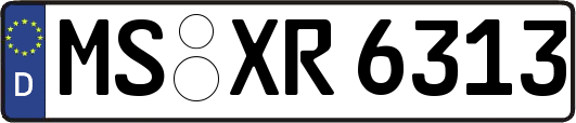 MS-XR6313