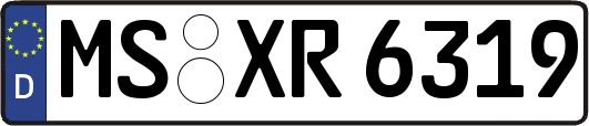MS-XR6319