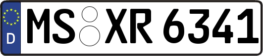 MS-XR6341