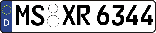 MS-XR6344