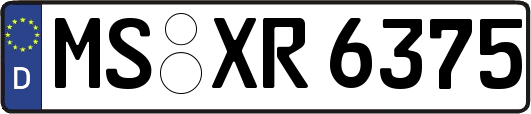 MS-XR6375