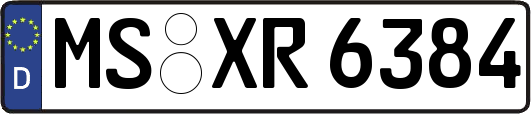 MS-XR6384