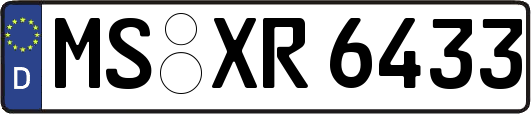 MS-XR6433