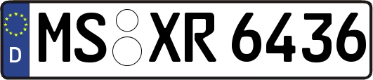 MS-XR6436