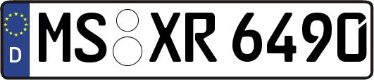 MS-XR6490
