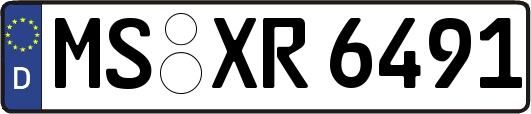 MS-XR6491
