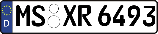 MS-XR6493