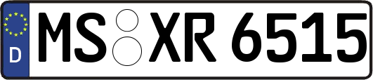 MS-XR6515