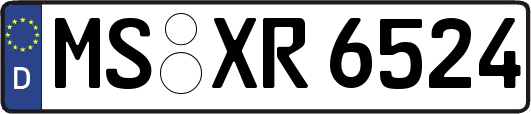 MS-XR6524