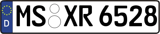 MS-XR6528