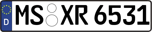MS-XR6531