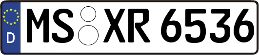 MS-XR6536