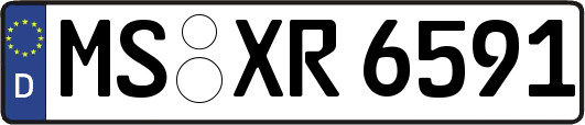 MS-XR6591