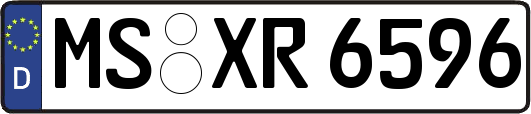 MS-XR6596
