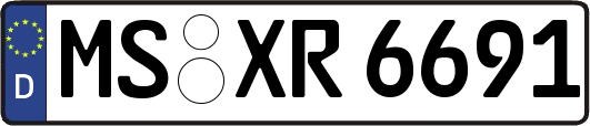 MS-XR6691
