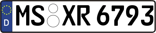 MS-XR6793