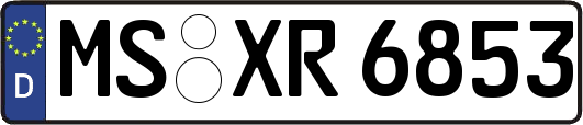 MS-XR6853