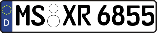 MS-XR6855