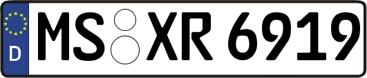 MS-XR6919