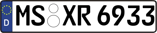 MS-XR6933