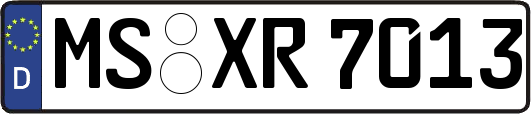 MS-XR7013