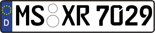 MS-XR7029