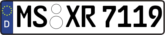 MS-XR7119