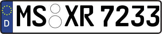 MS-XR7233