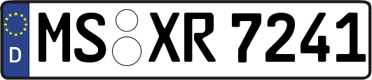 MS-XR7241