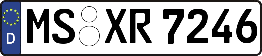 MS-XR7246