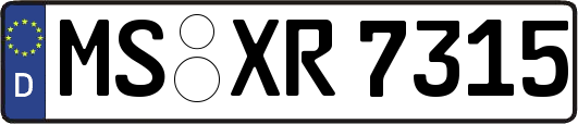 MS-XR7315