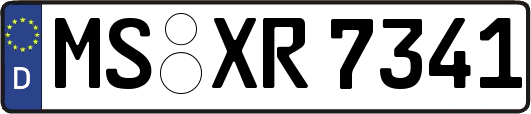 MS-XR7341
