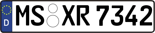 MS-XR7342