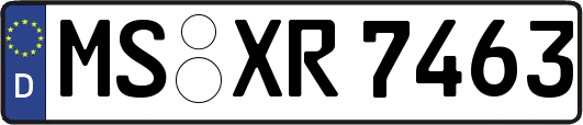 MS-XR7463