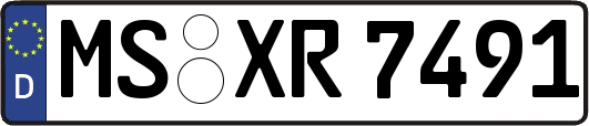 MS-XR7491