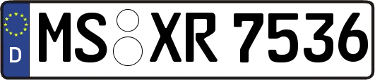 MS-XR7536