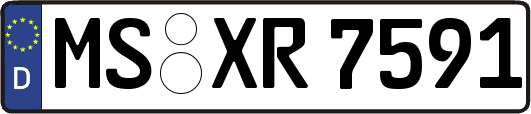 MS-XR7591