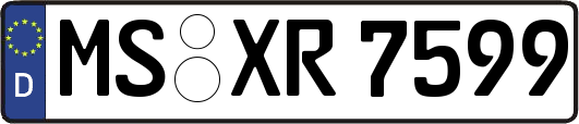 MS-XR7599