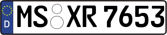 MS-XR7653