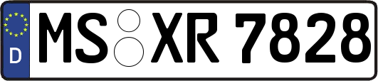 MS-XR7828
